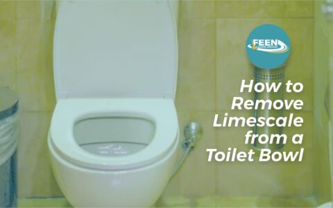 Remove Limescale from Toilet Bowl Guide