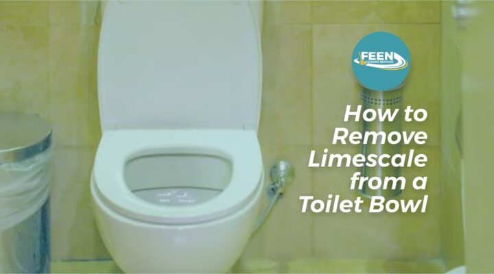Remove Limescale from Toilet Bowl Guide