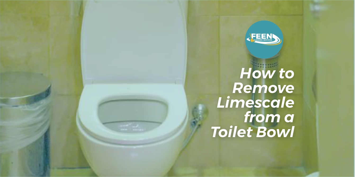 Remove Limescale from Toilet Bowl Guide