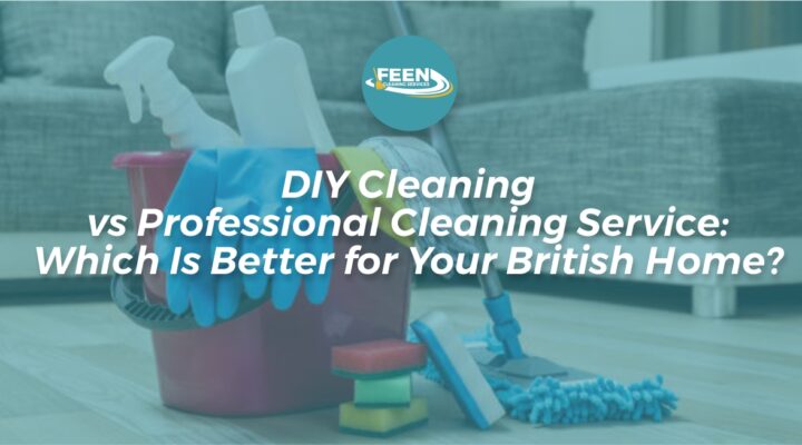 DIY Cleaning vs Professional Cleaning Service